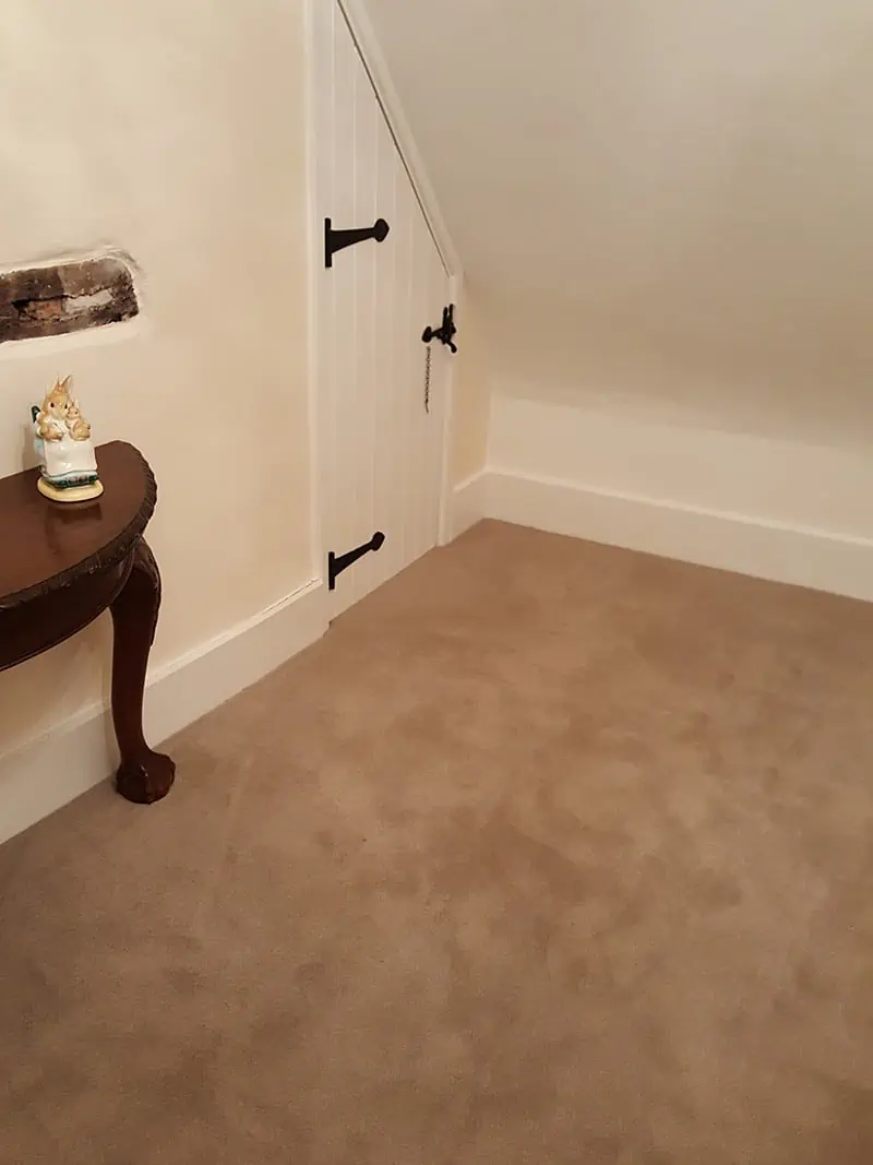 Living Floors - Carpet
