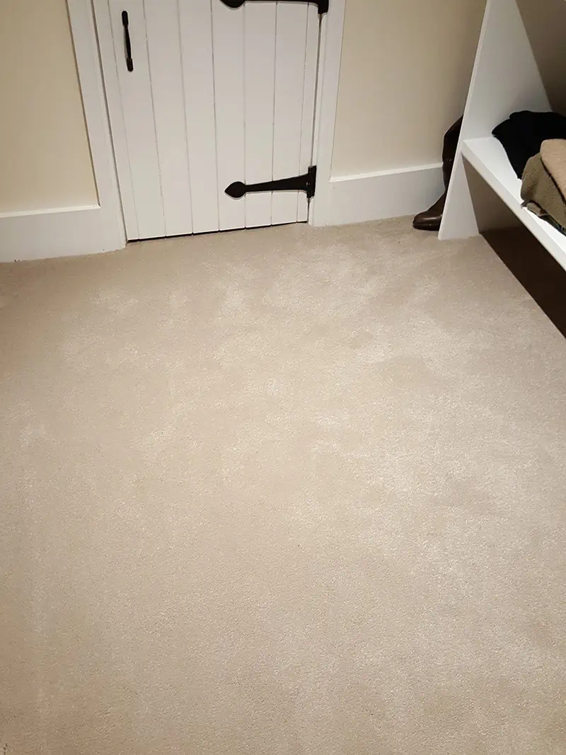 Living Floors - Carpet