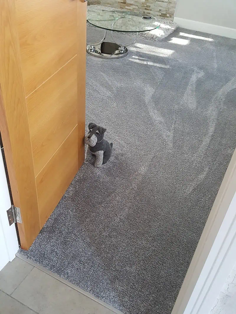Living Floors - Carpet