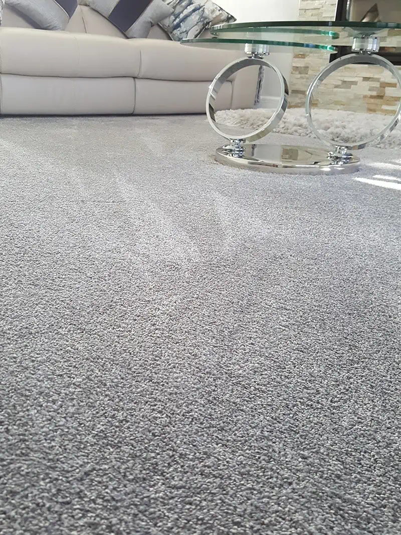 Living Floors - Carpet