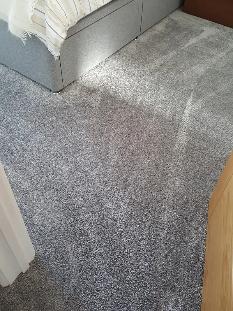Living Floors - Carpet