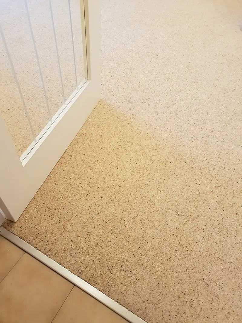 Living Floors - Carpet