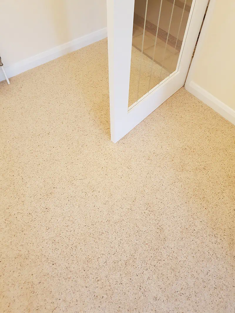 Living Floors - Carpet