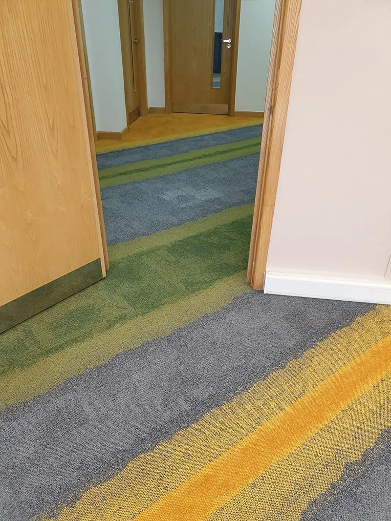 Living Floors - Carpet