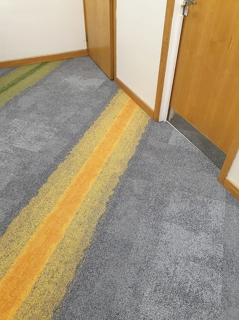 Living Floors - Carpet