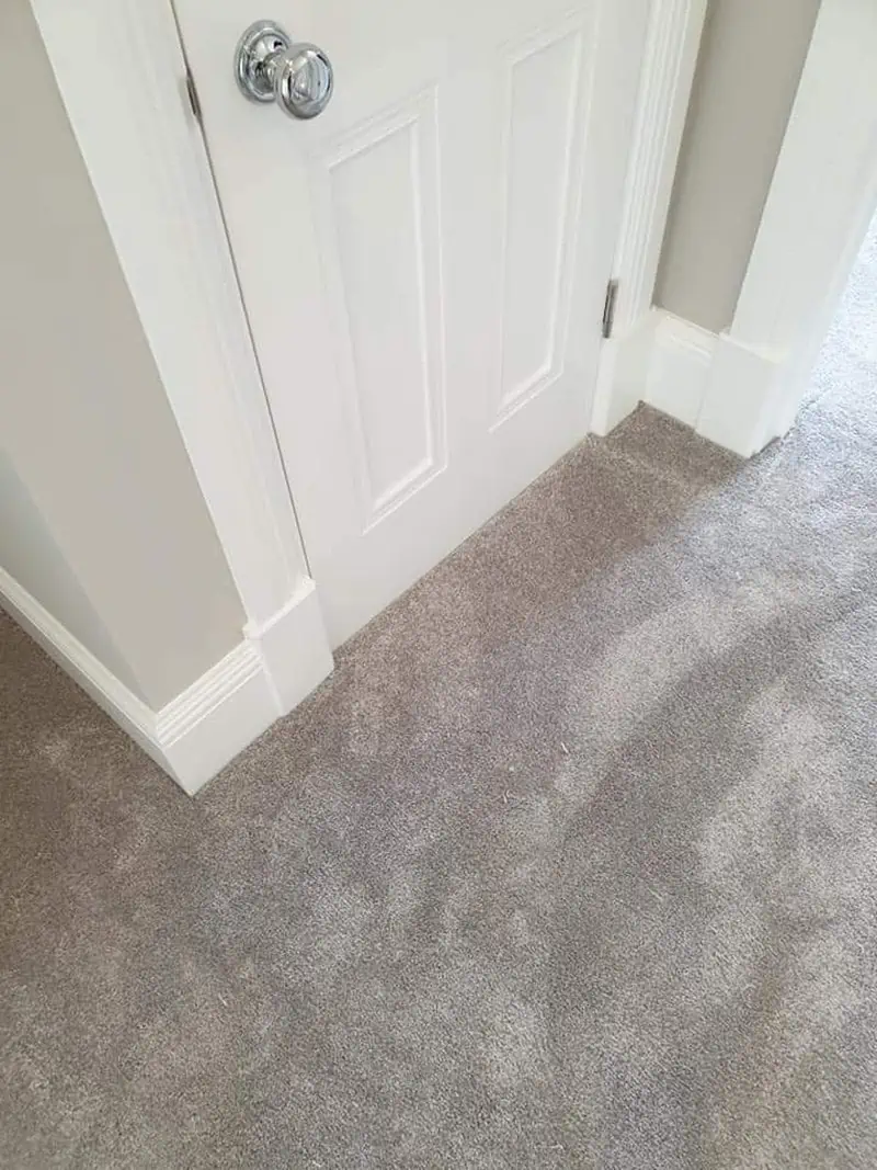 Living Floors - Carpet