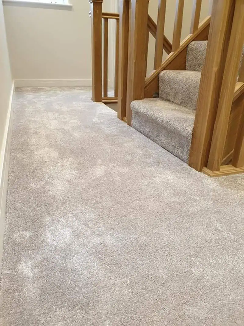 Living Floors - Carpet