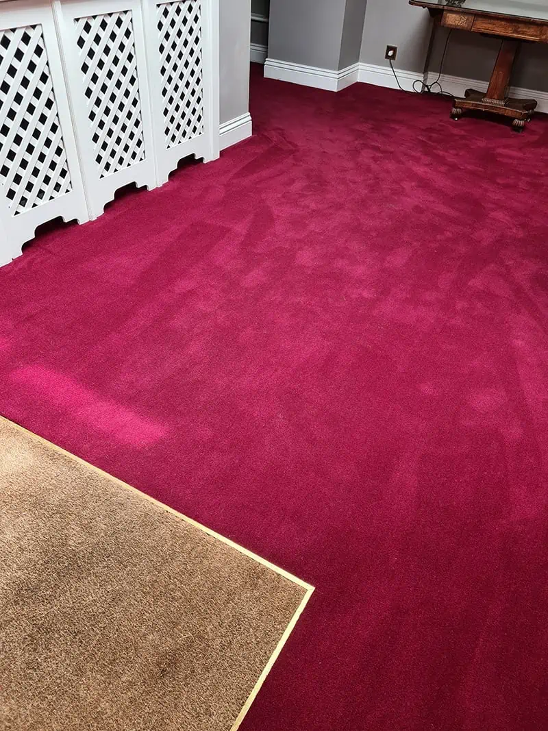 Living Floors - Carpet