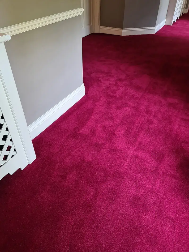 Living Floors - Carpet