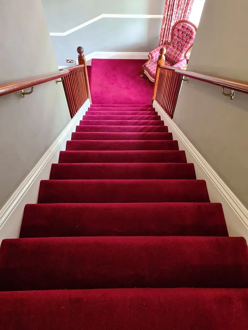 Living Floors - Carpet