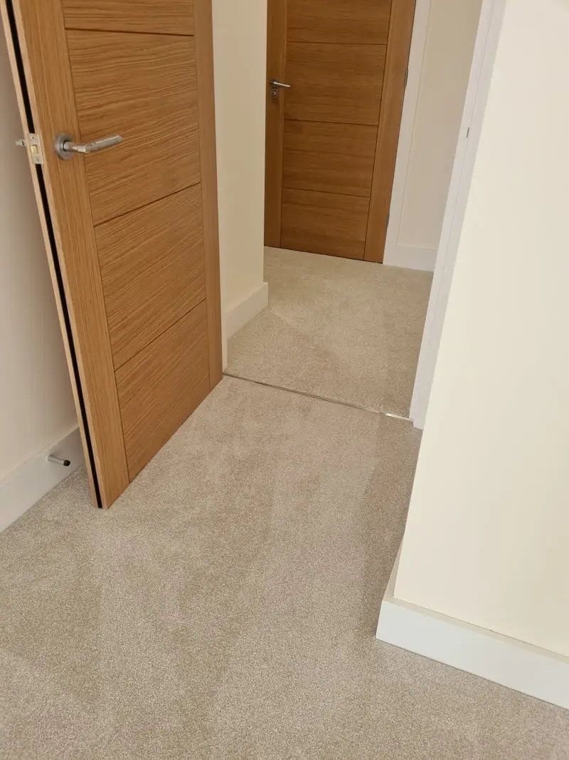 Living Floors - Carpet